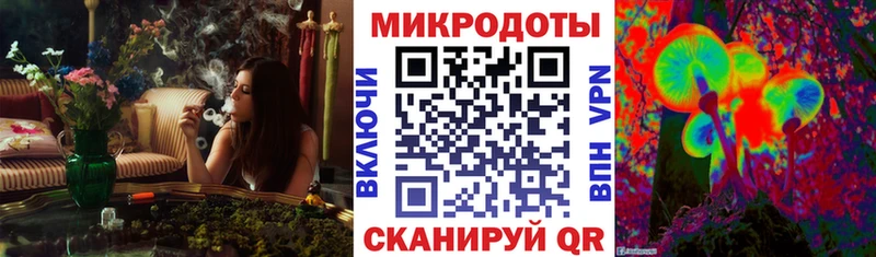 продажа наркотиков  Горно-Алтайск  Псилоцибиновые грибы MAGIC MUSHROOMS 